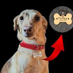Medaglietta Cane personalizzata
